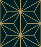 模様